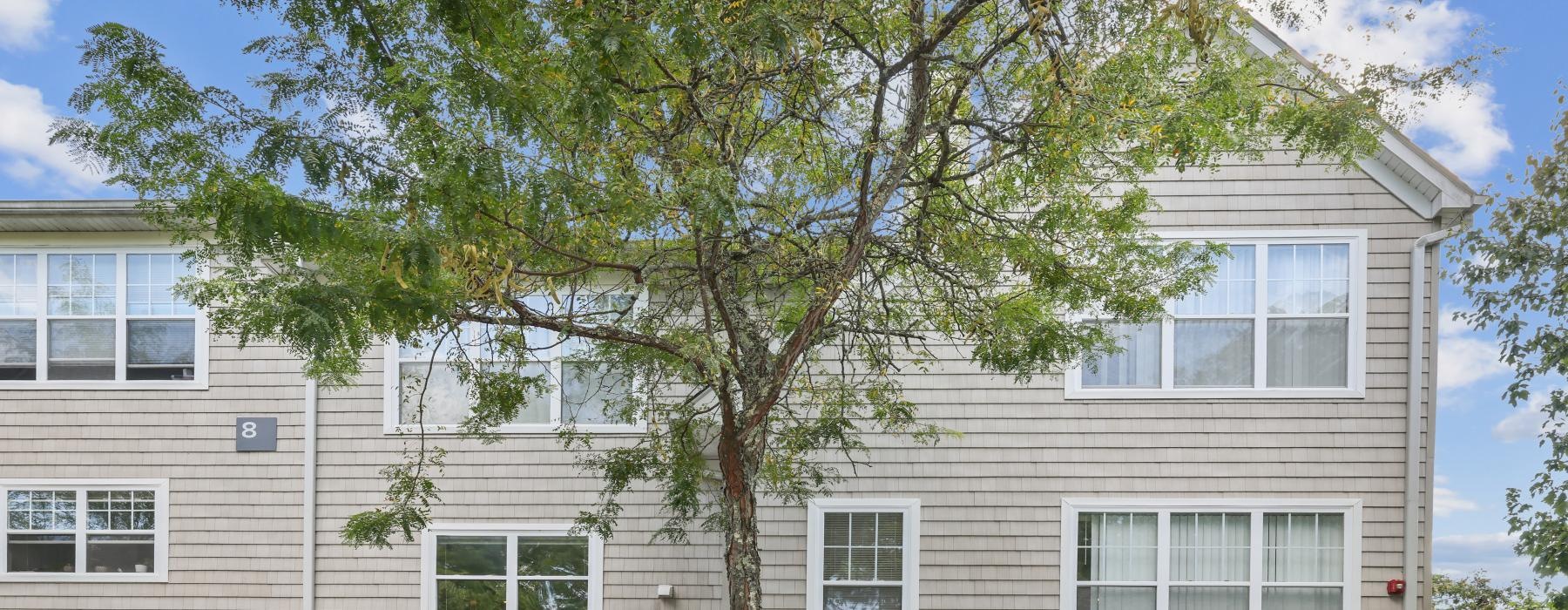 a large brick building with a tree in front of it